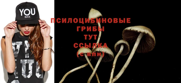 mix Ельня