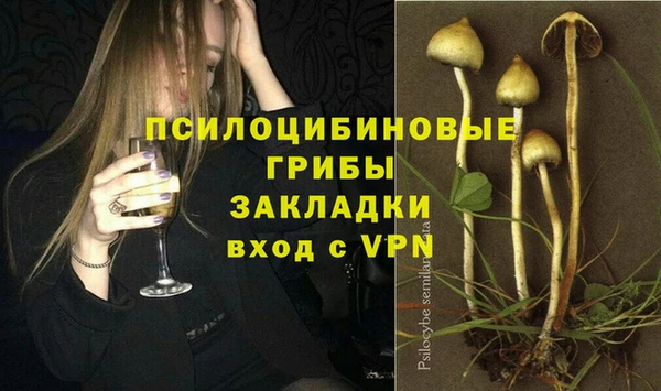 ALPHA PVP Елизово