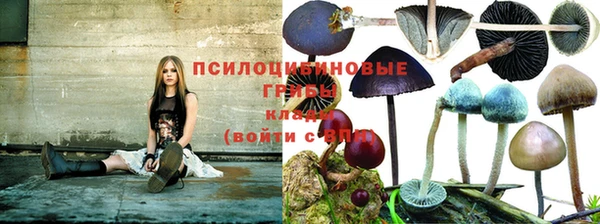 герыч Елабуга