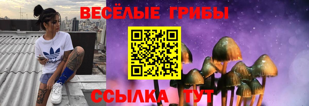 Псилоцибиновые грибы Psilocybine cubensis Усолье-Сибирское